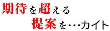 期待を超える提案を・・・カイト